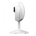 C1C 720P (2).png
