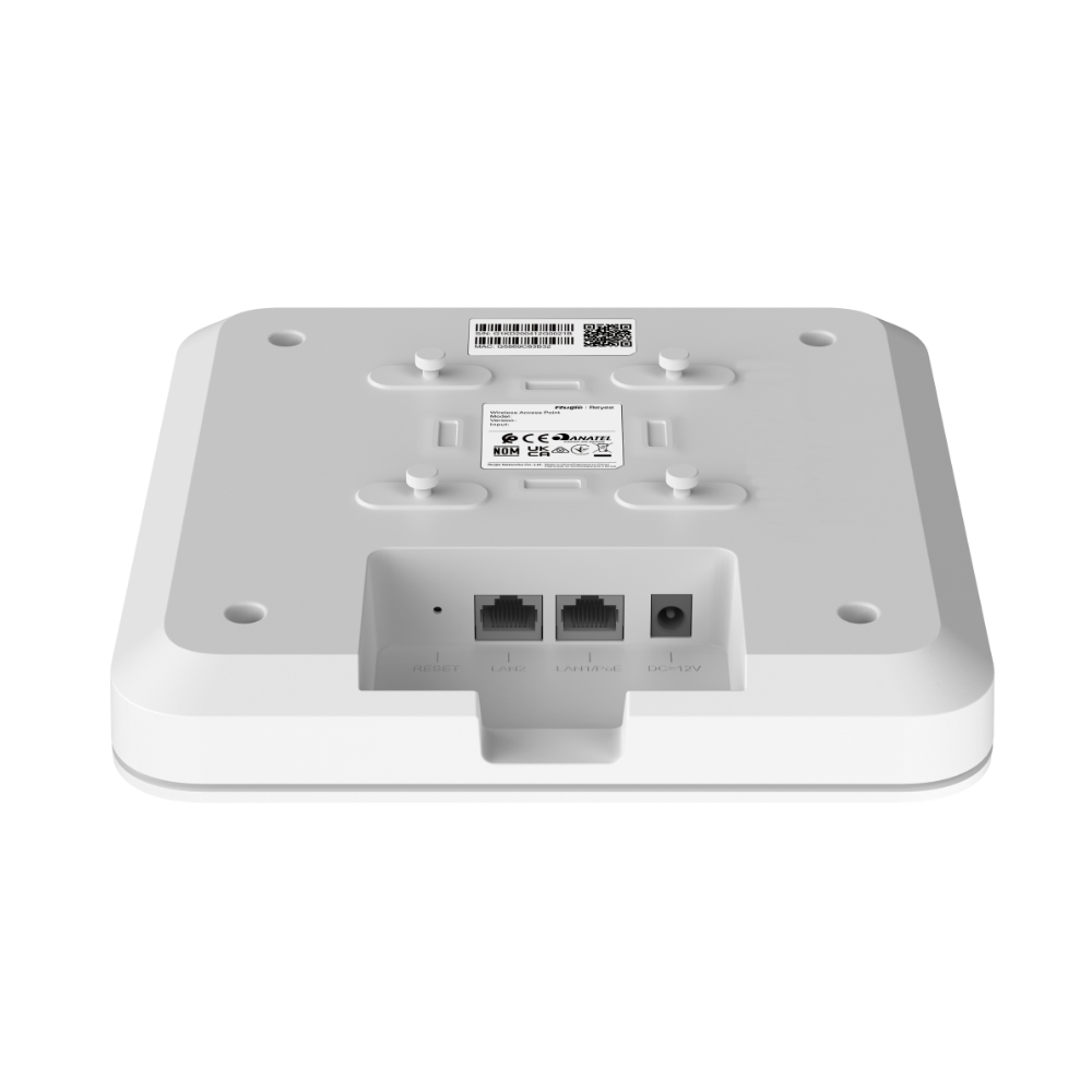 RG-RAP2200(E) (2).png