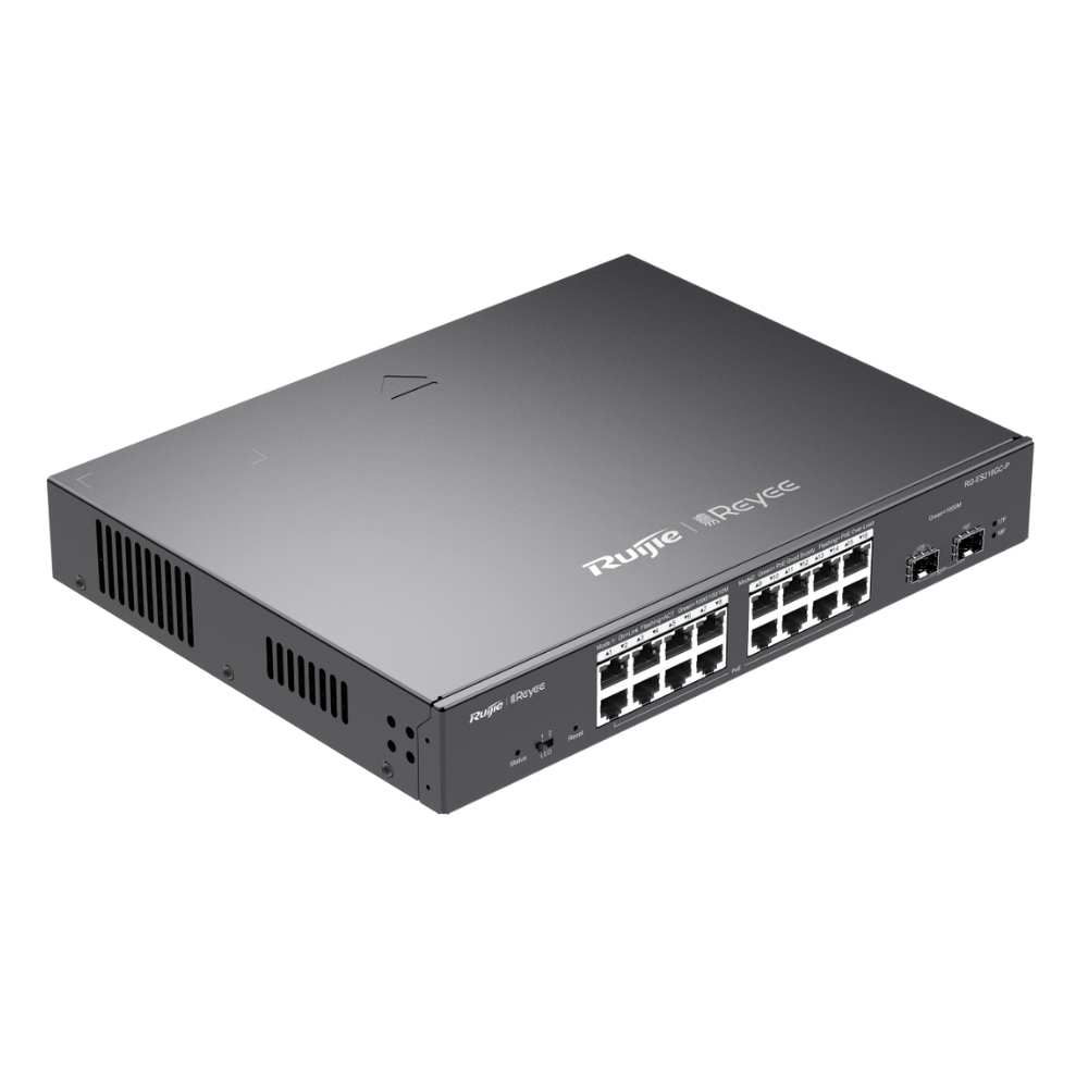 RG-ES218GC-P (2).png