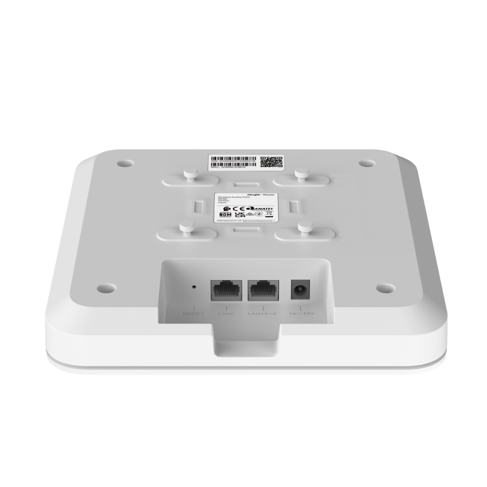 RG-RAP2200(F).png