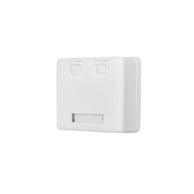 Roseta Interior Lan 2 Puertos Cat5E/Cat6 Rj45 