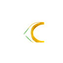 P. Cord Fo E-2000/Apc-E2000/Apc Sm 3 Mts Simplex